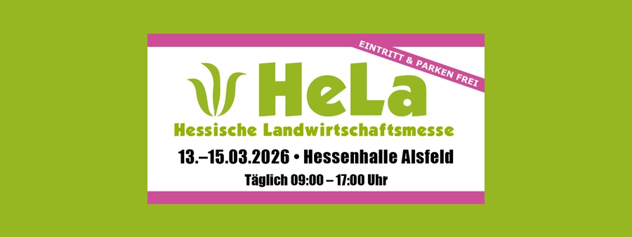 HeLa Alsfeld